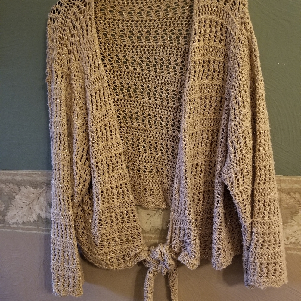 Fashion Bug beige sweater Size Plus OS